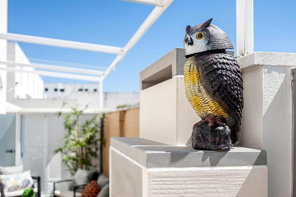 Casa Terraza Lejlighed Conil De La Frontera Eksteriør billede